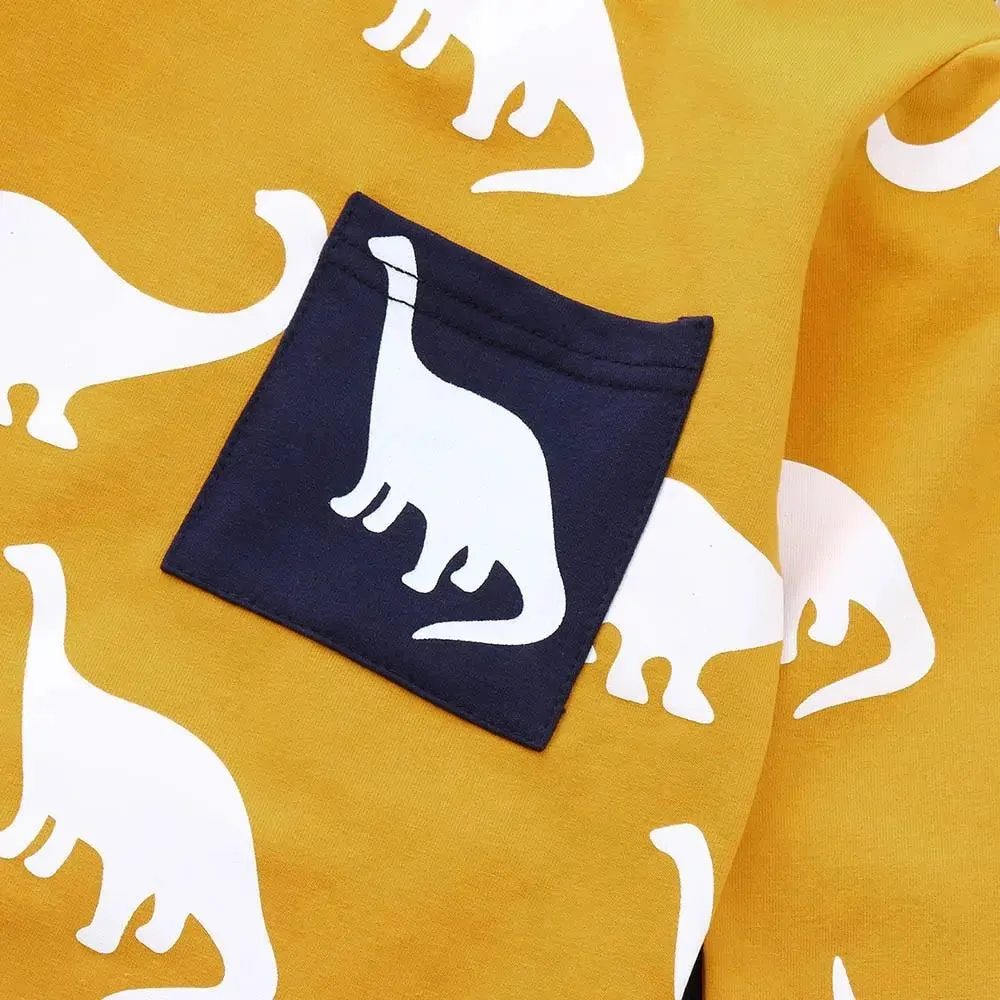 Dinosaur Shirts Set For Boys Girls Kids