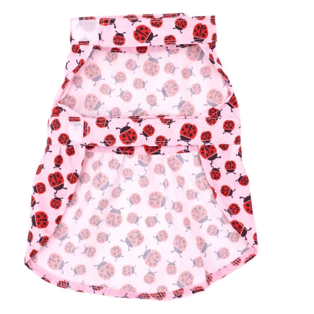 Dog Dress - Lady Bug Pink Dress