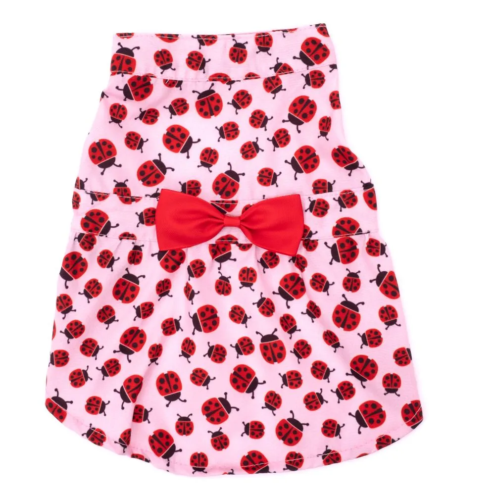 Dog Dress - Lady Bug Pink Dress