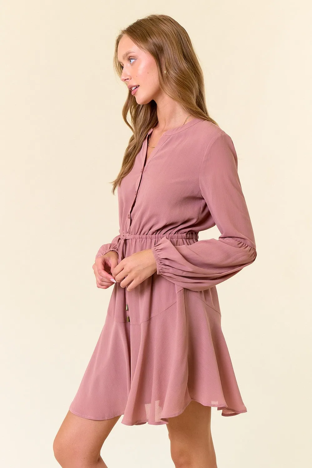 Radiant Vision Long Sleeve Ruffle Mini Dress